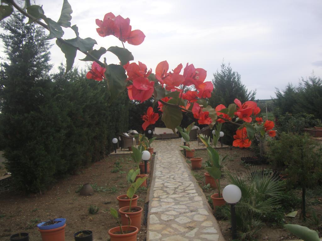 Villa Delle Palme Delfina Trapani Exterior foto