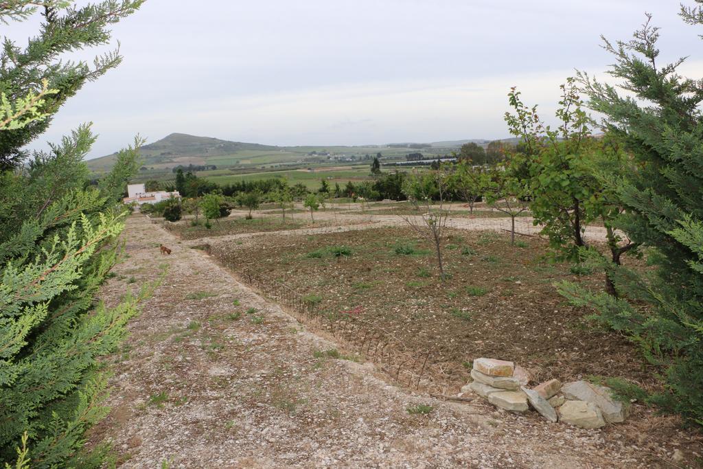 Villa Delle Palme Delfina Trapani Exterior foto